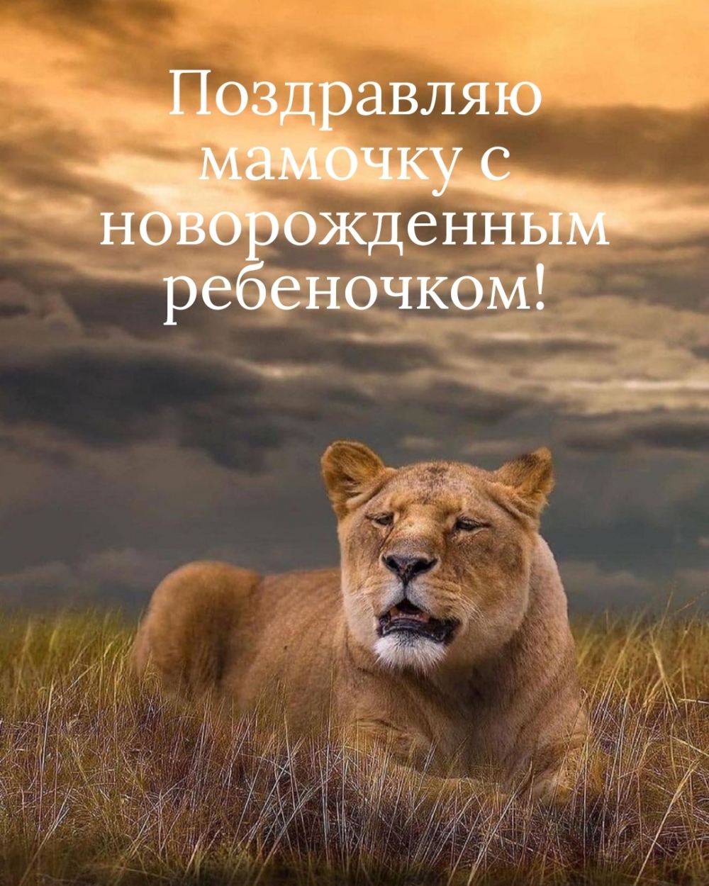 Поздравляю мамочку с новорожденным ребеночком!