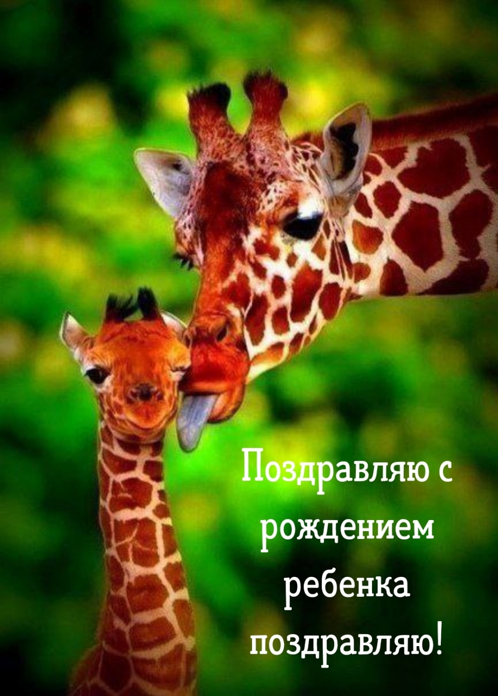 Картинки с надписями.  Поздравляю с рождением ребенка поздравляю!.