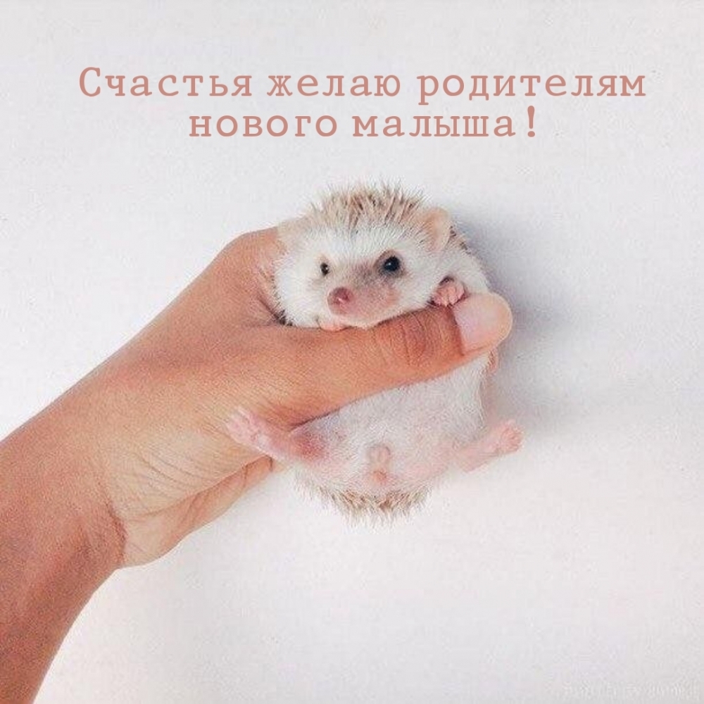 Счастья желаю родителям нового малыша!