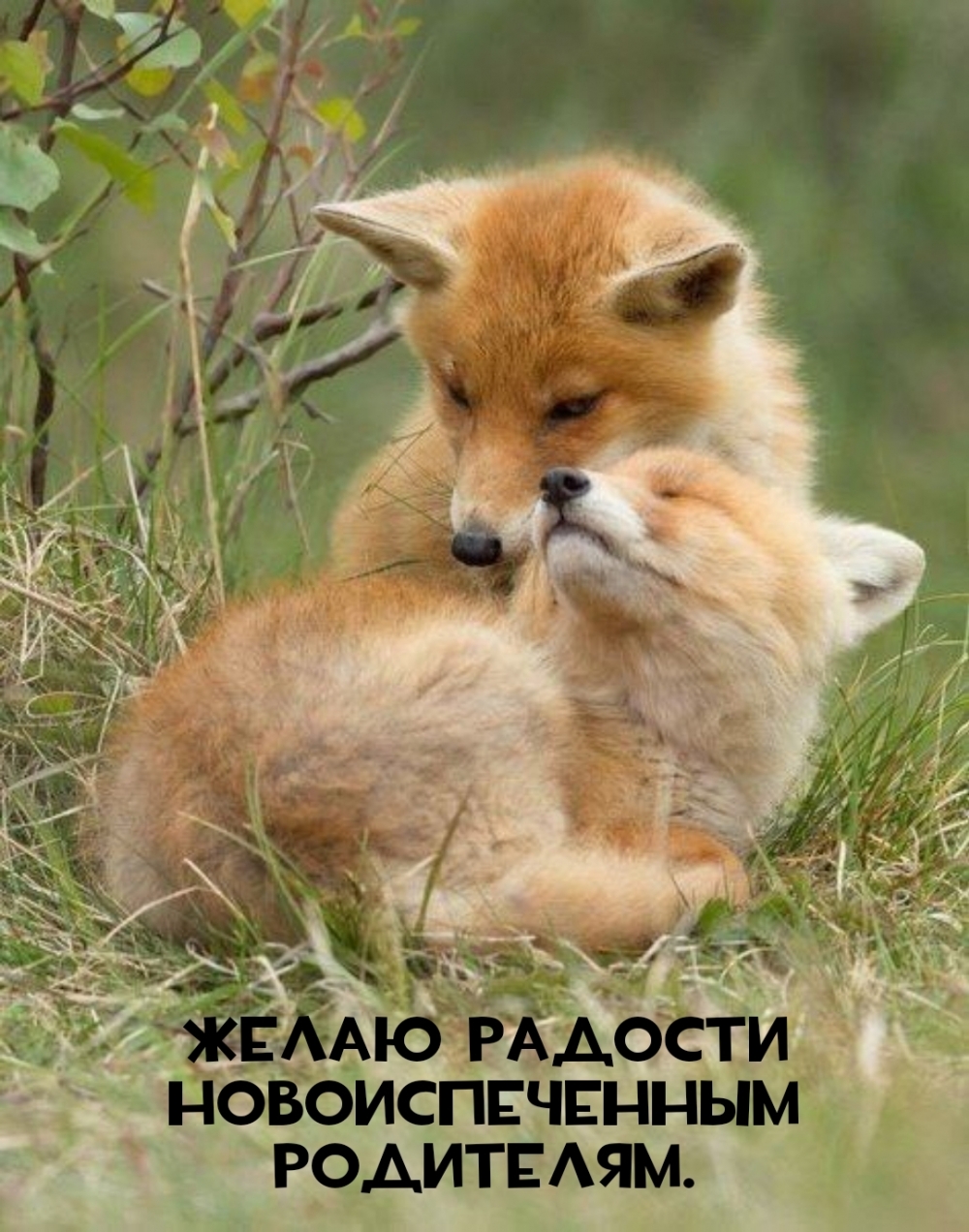 Желаю радости новоиспеченным родителям.