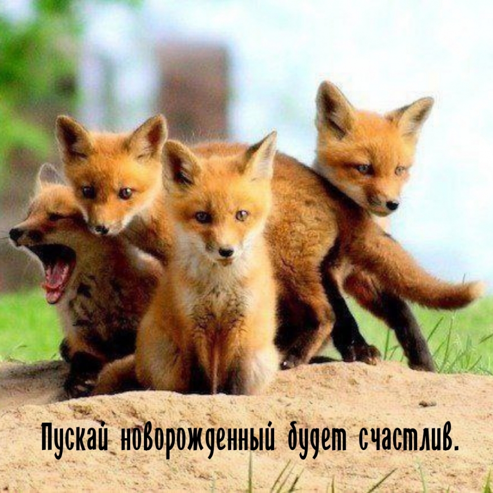 Пускай новорожденный будет счастлив.