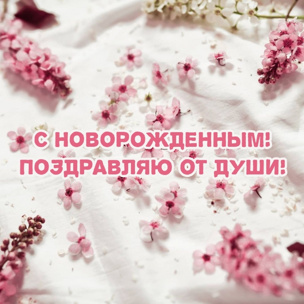 С Новорожденным! Поздравляю от души!