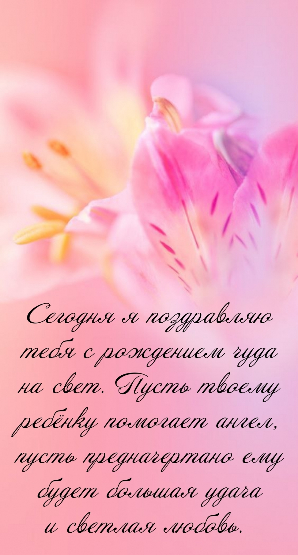 Сегодня я поздравляю тебя с рождением чуда на свет.