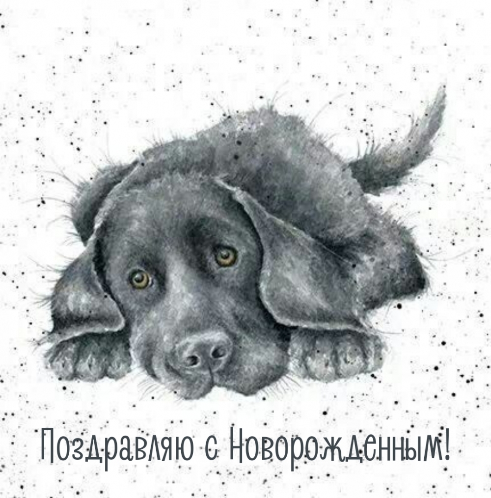 Картинки с надписями.  Поздравляю с Новорожденным!.