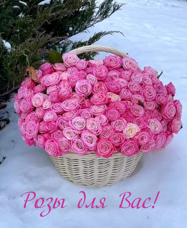 Розы для Вас!