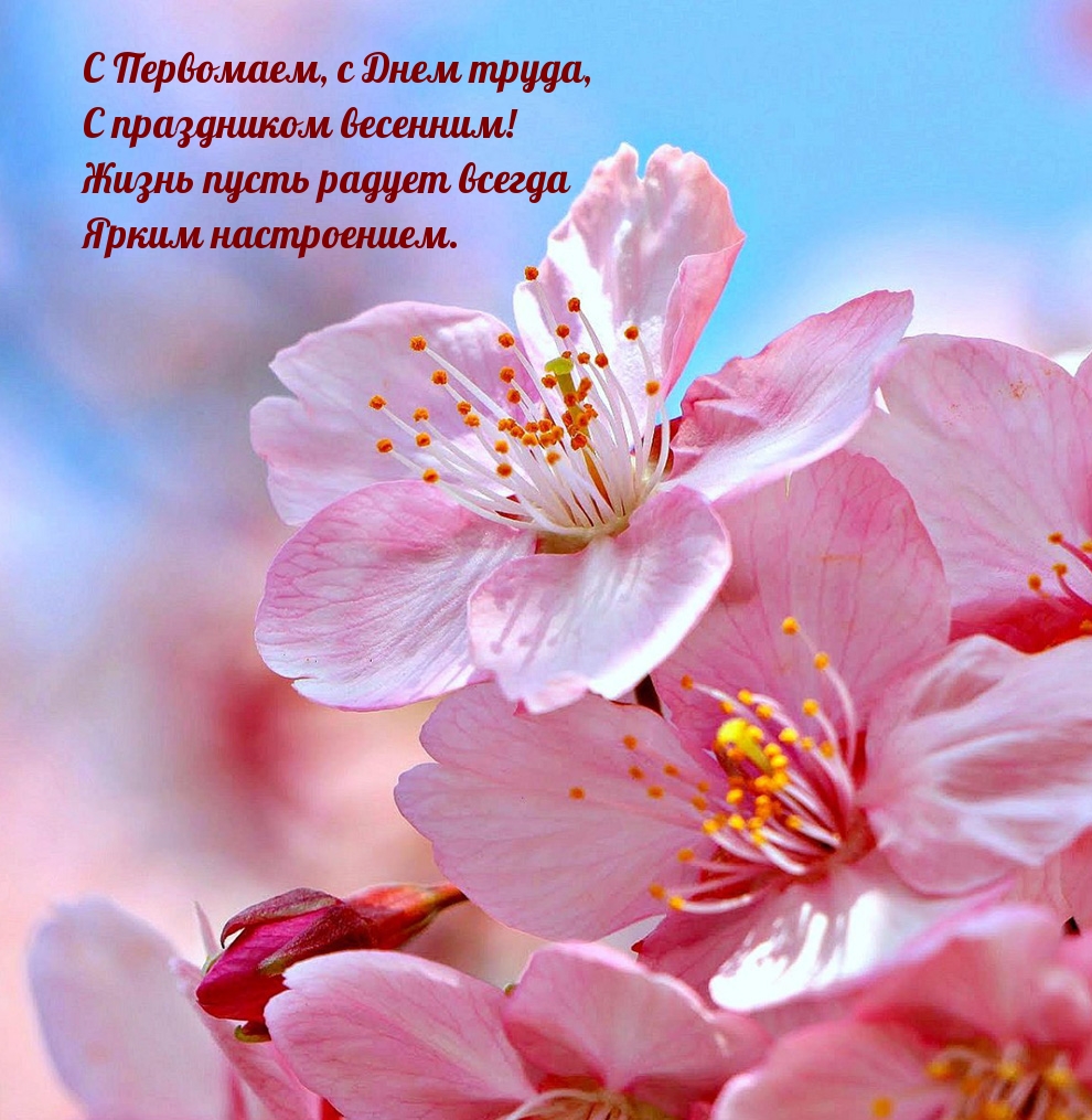 С Первомаем, с Днем труда, с праздником весенним!