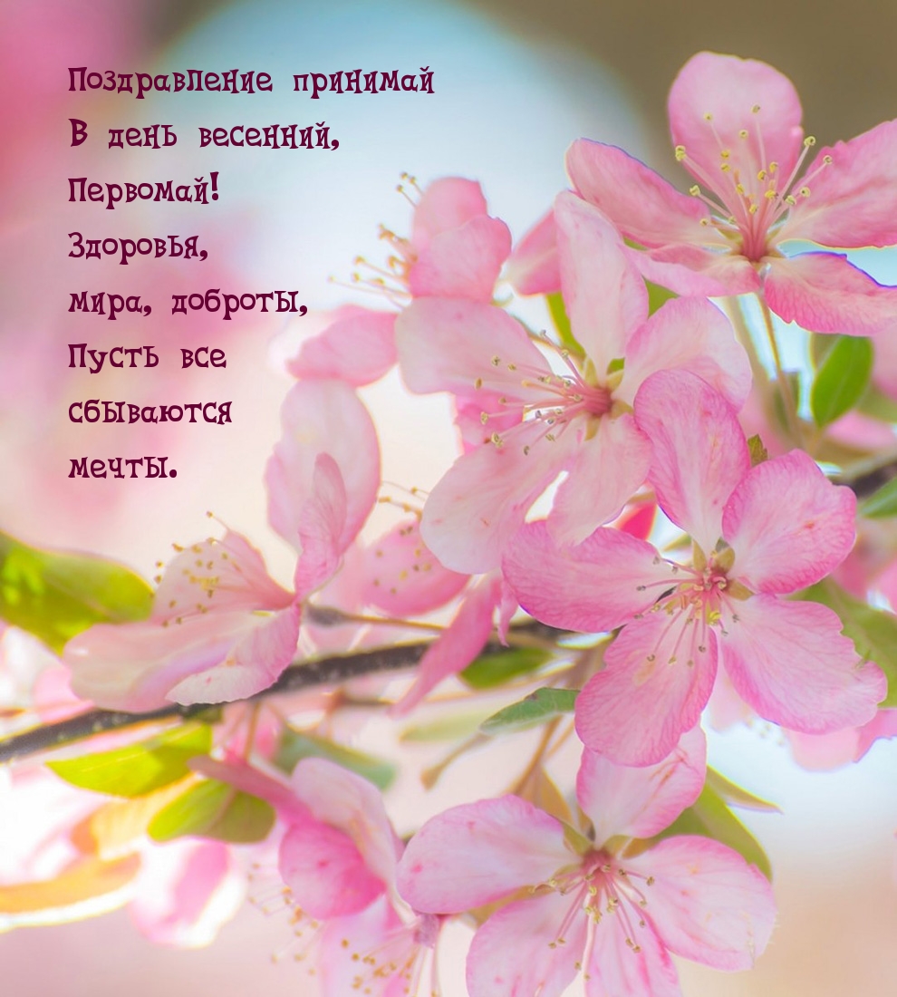 Поздравление принимай в день весенний, Первомай!