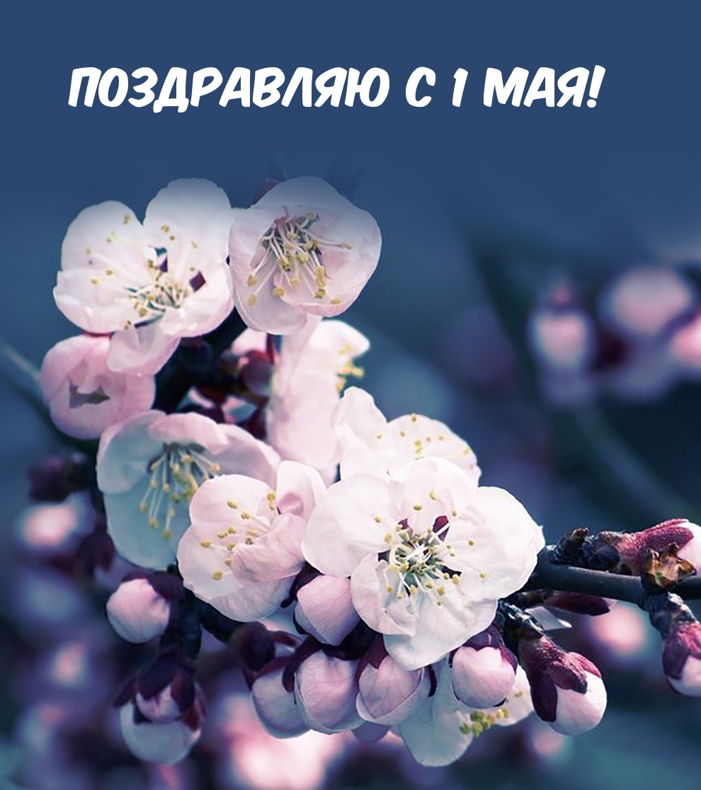 Поздравляю с 1 мая!