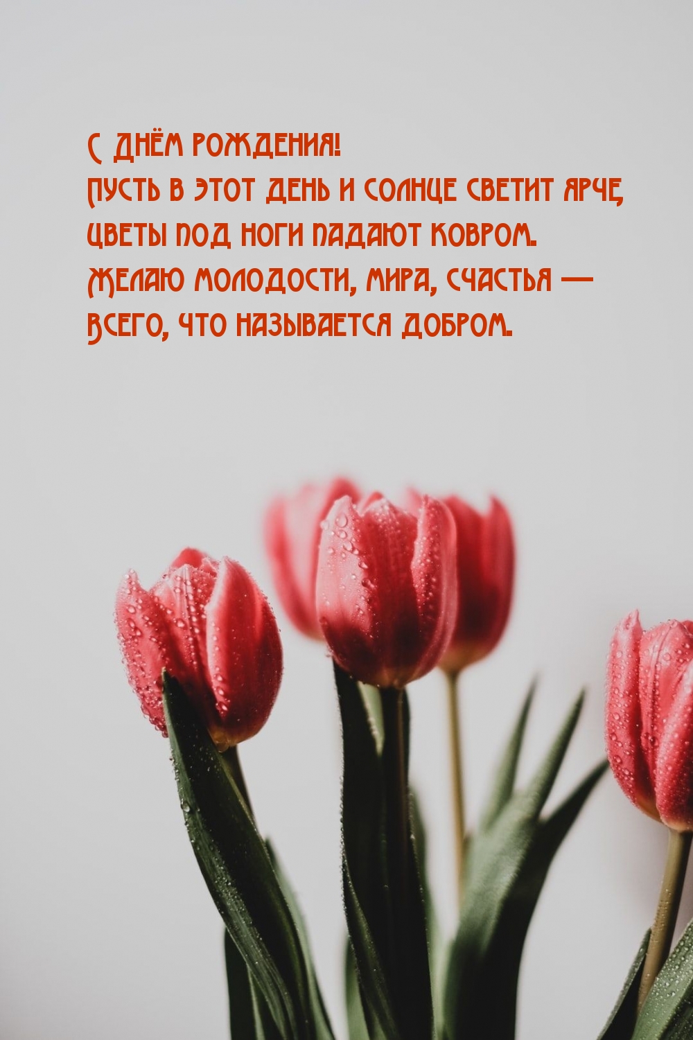 С Днём рождения! Пусть в этот день и солнце светит ярче