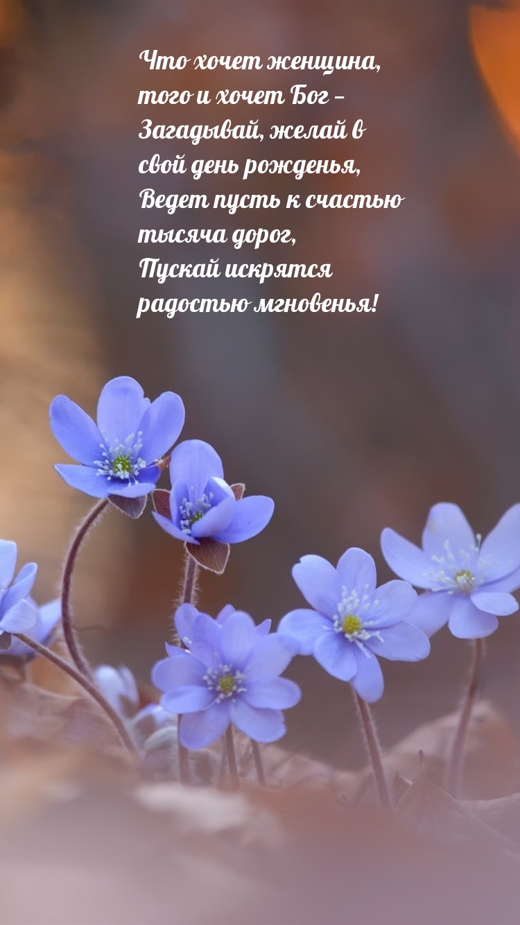 Пускай искрятся радостью мгновенья!