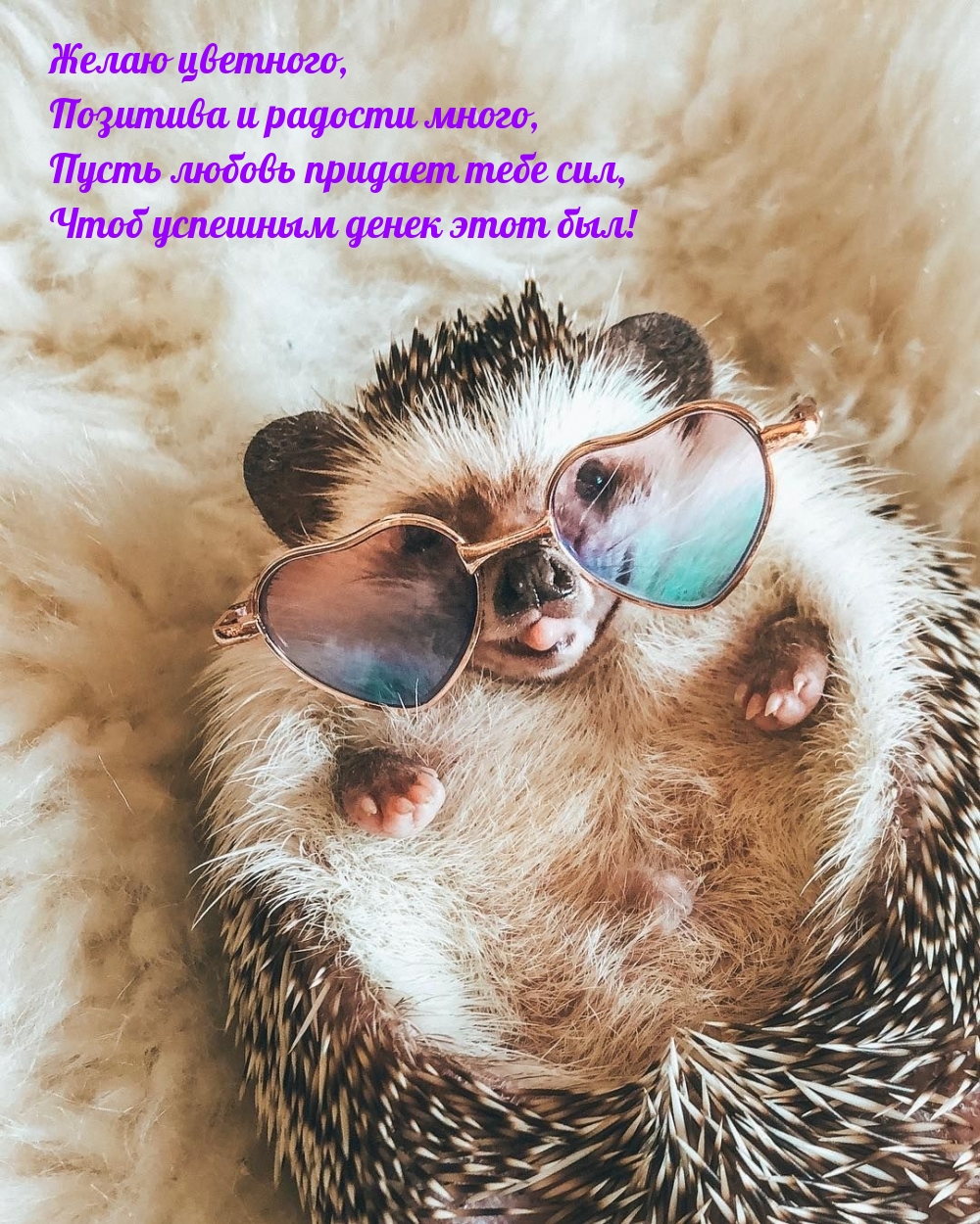 Картинки с надписями.  Желаю цветного, позитива и радости много.