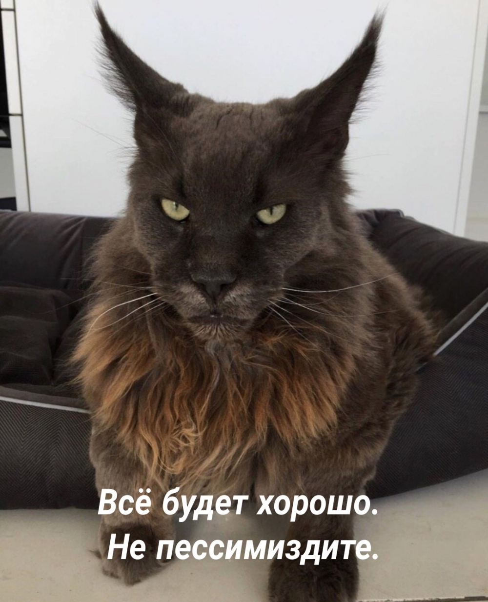 Всё будет хорошо. Не пессимиздите.