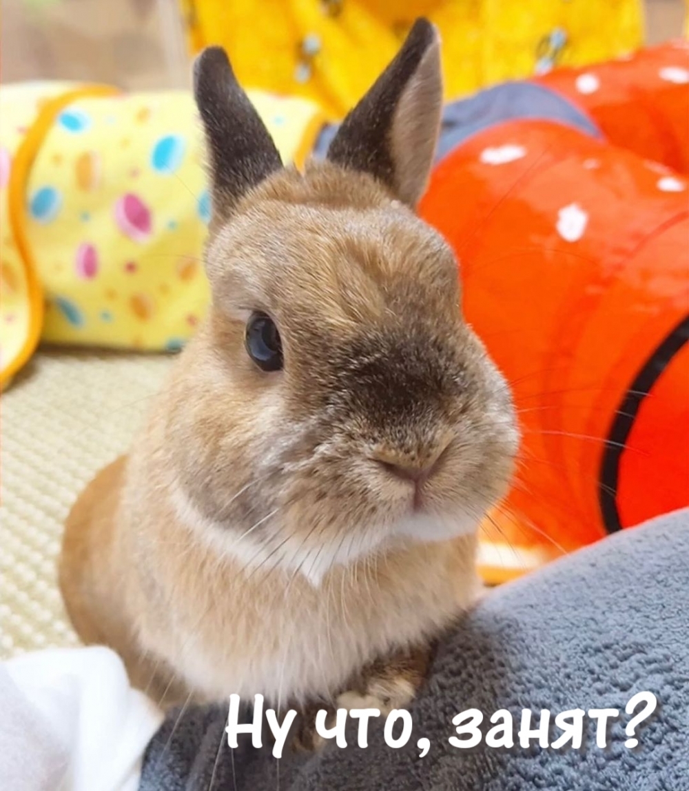 Ну что, занят?