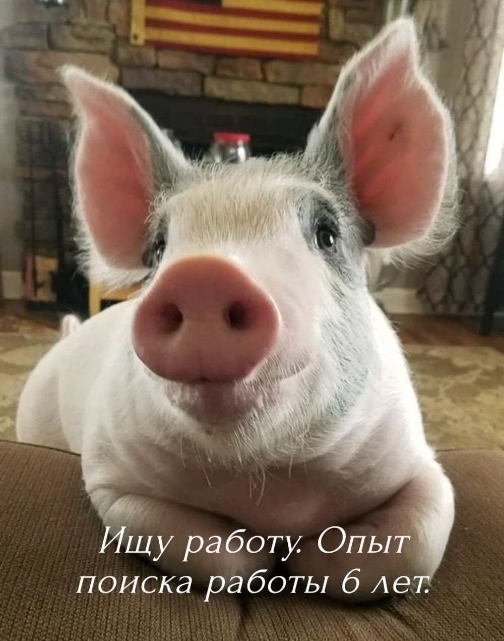 Ищу работу. Опыт поиска работы 6 лет.