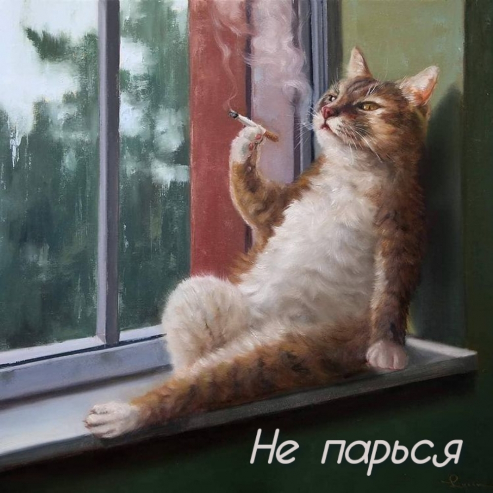 Не парься
