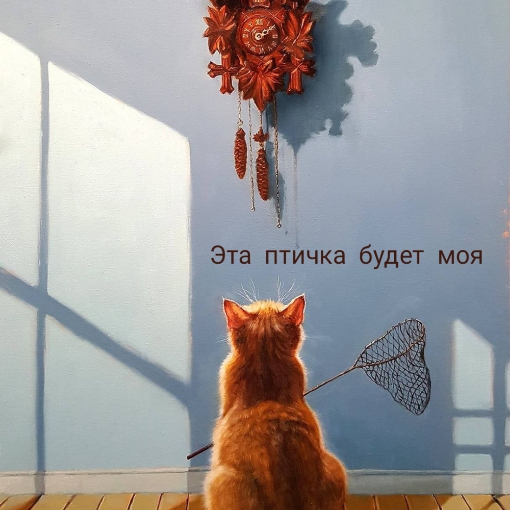 Эта птичка будет моя