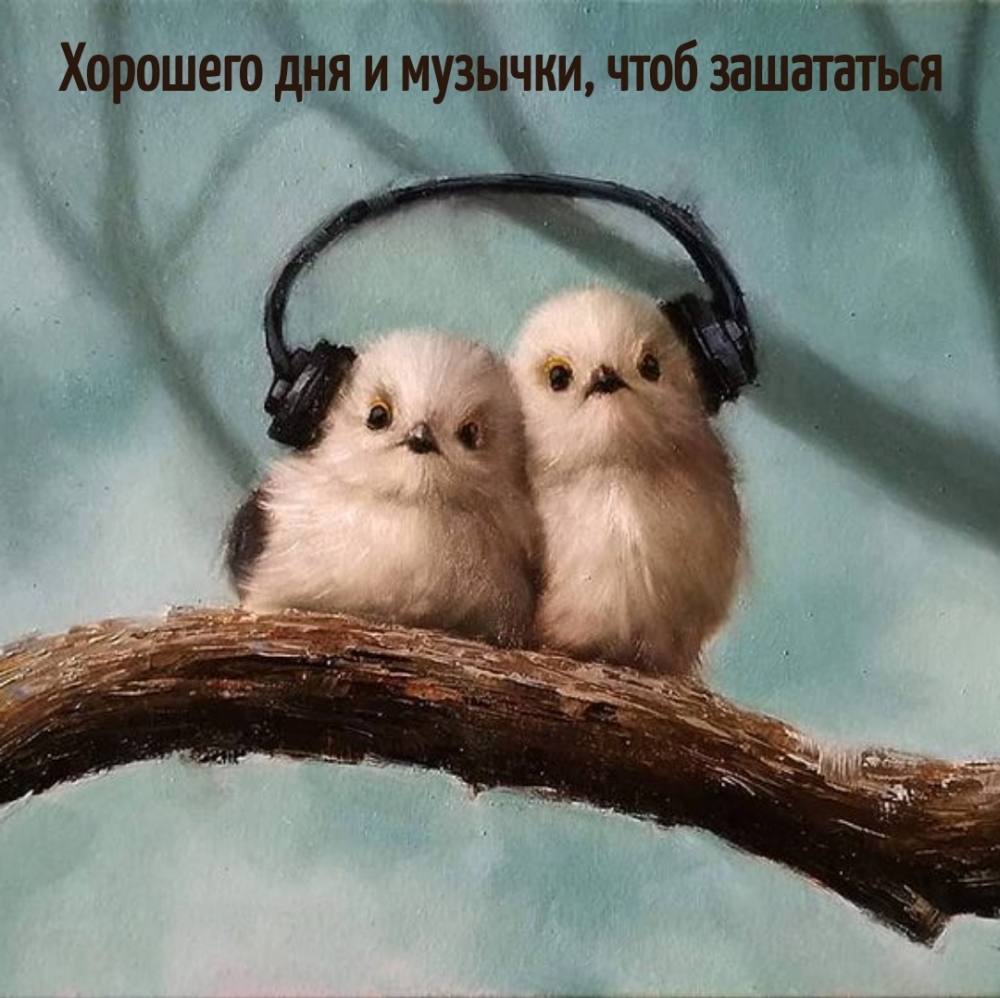 Хорошего дня и музычки, чтоб зашататься