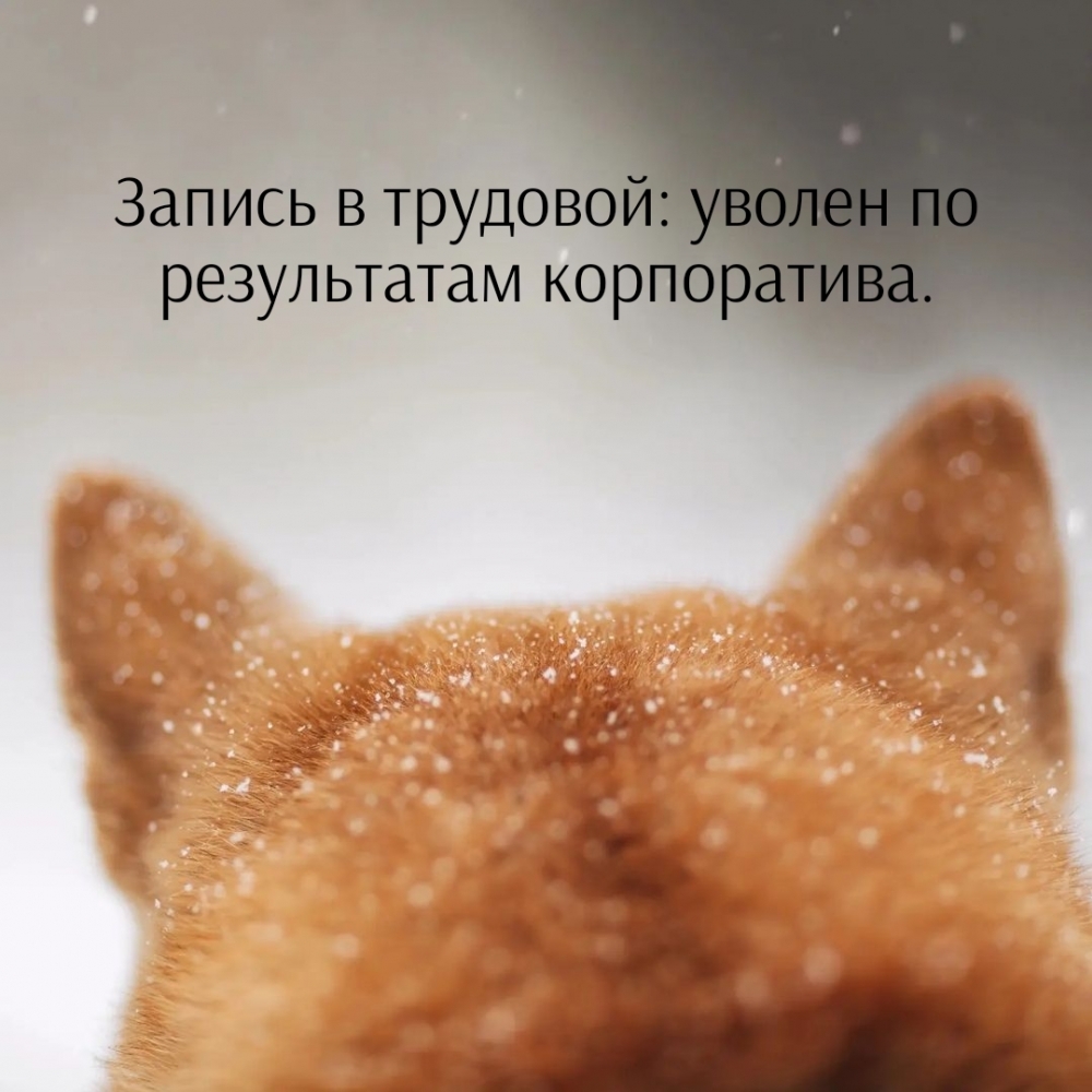 Запись в трудовой: уволен по результатам корпоратива.
