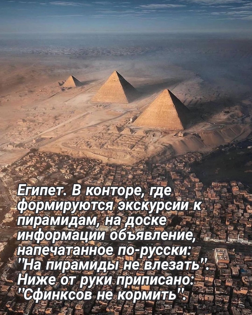 Египет. В конторе, где формируются экскурсии к пирамидам