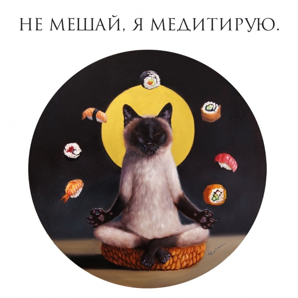 Не мешай, я медитирую.