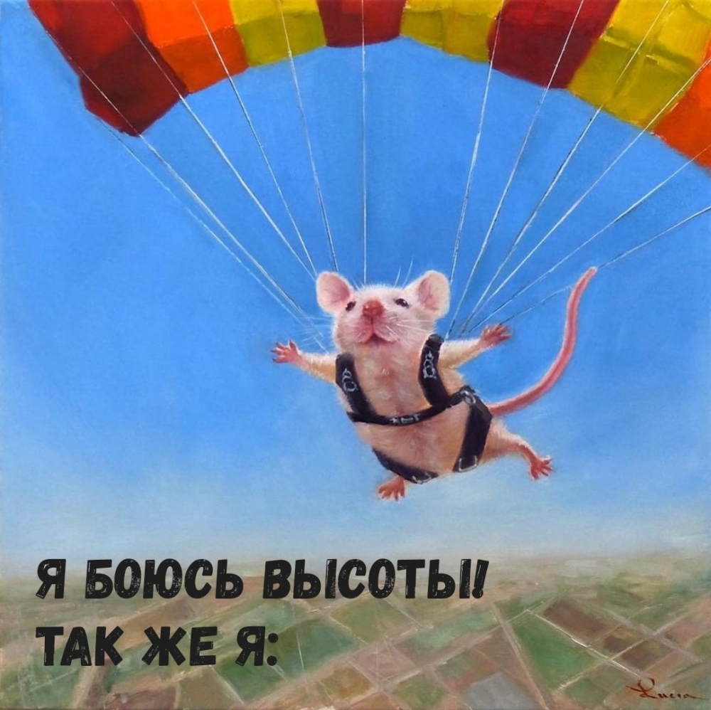 Я боюсь высоты! Так же я: