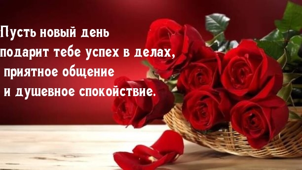 Пусть новый день подарит тебе успех в делах