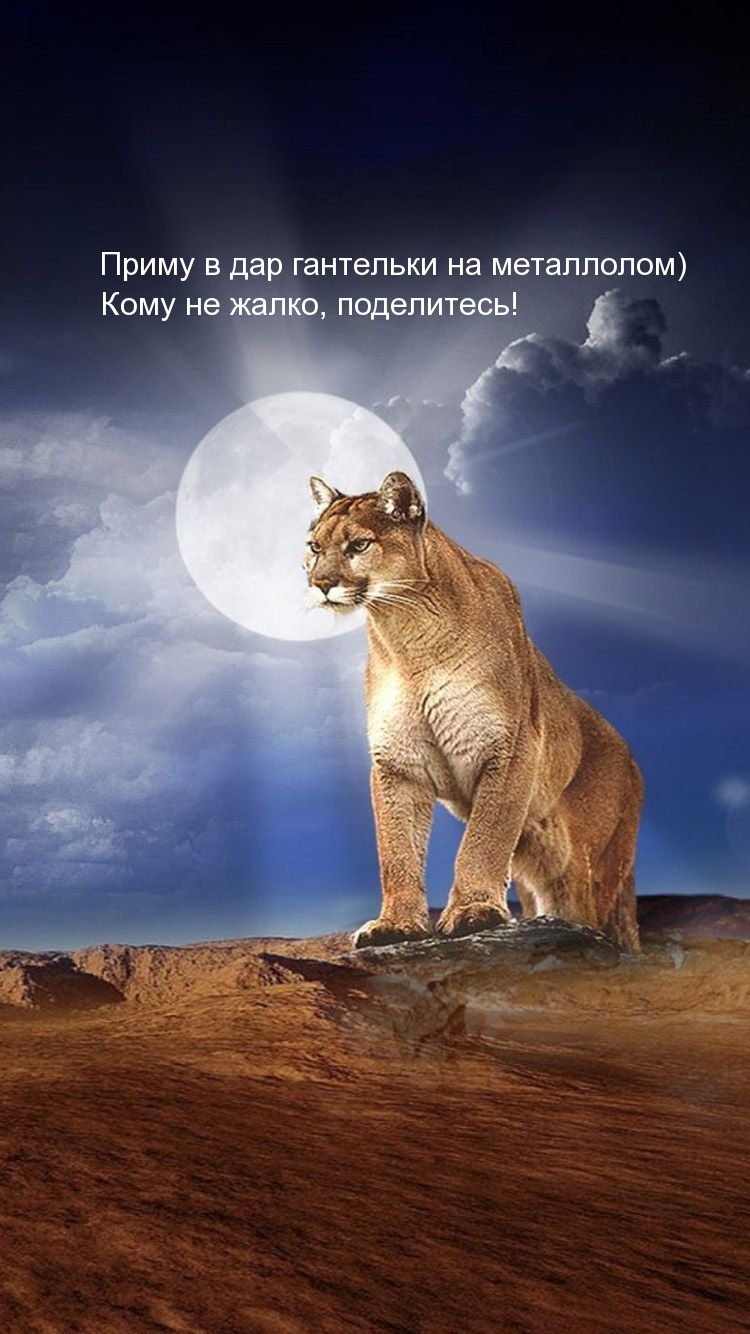 Приму в дар гантельки на металлолом) Кому не жалко, поделитесь!