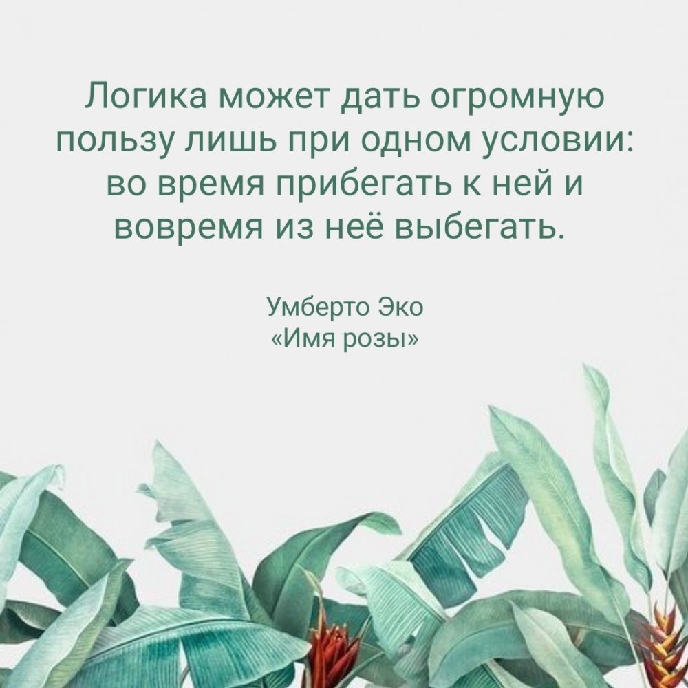 К логике надо во время прибегать и вовремя из неё выбегать.