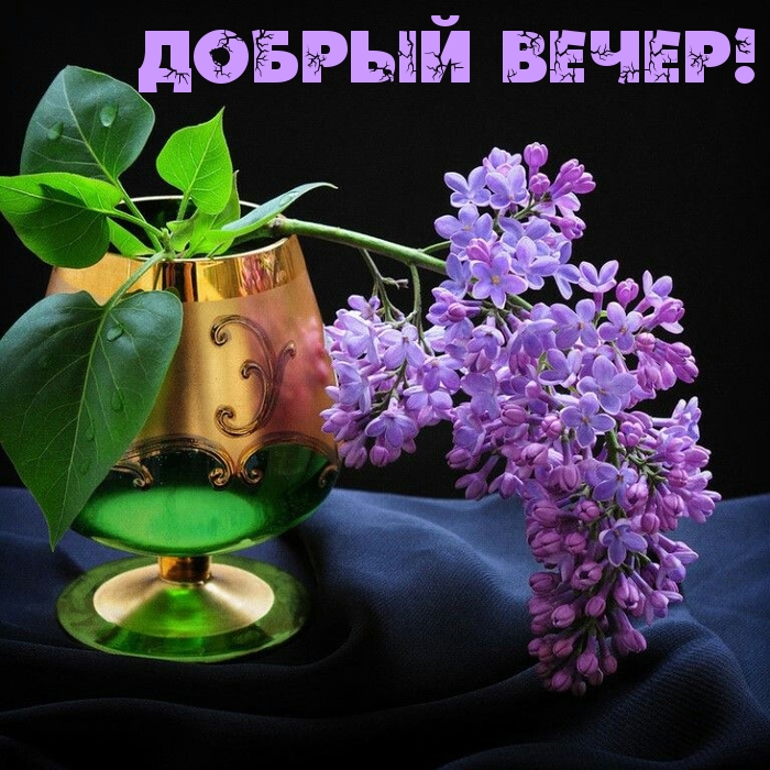Добрый вечер!