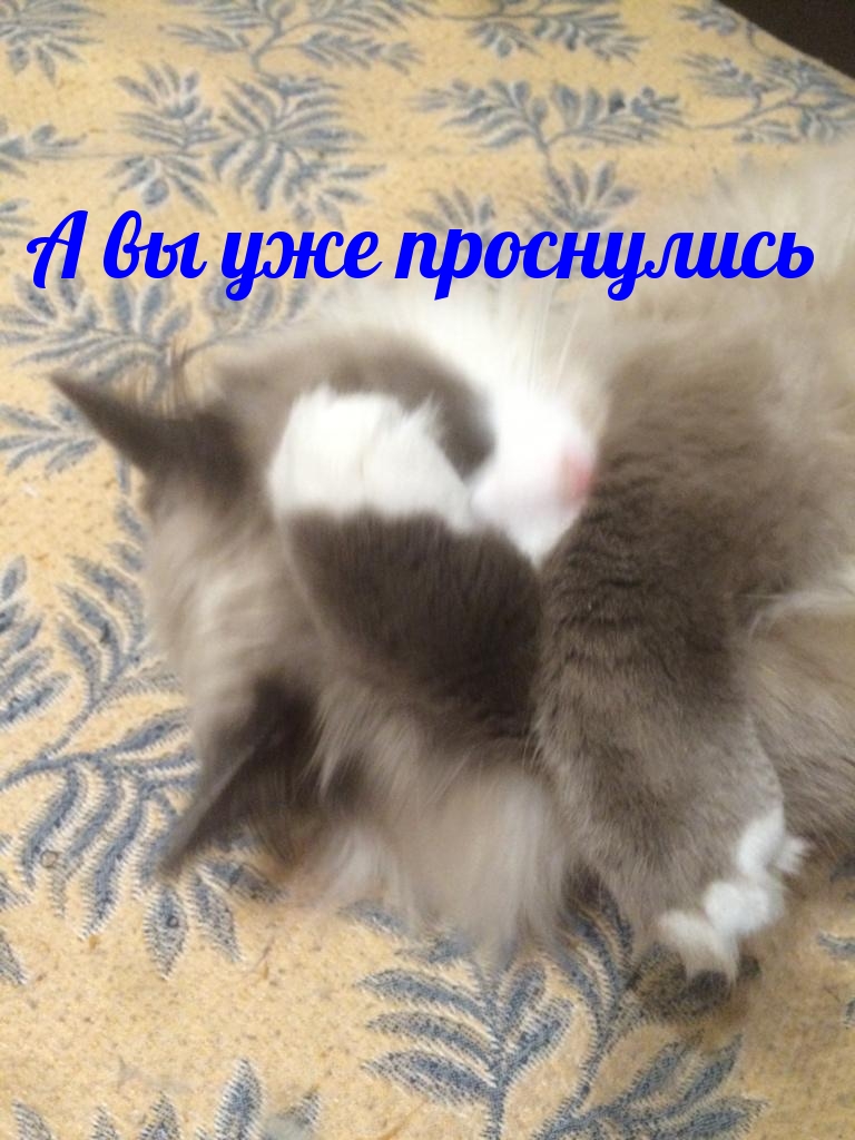 А вы уже проснулись