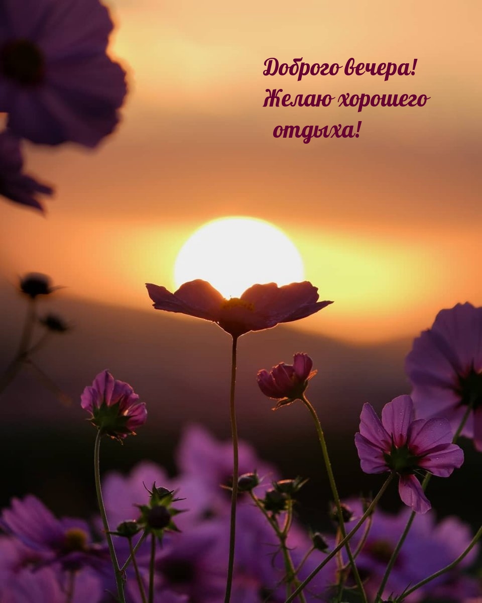 Доброго вечера! Желаю хорошего отдыха!