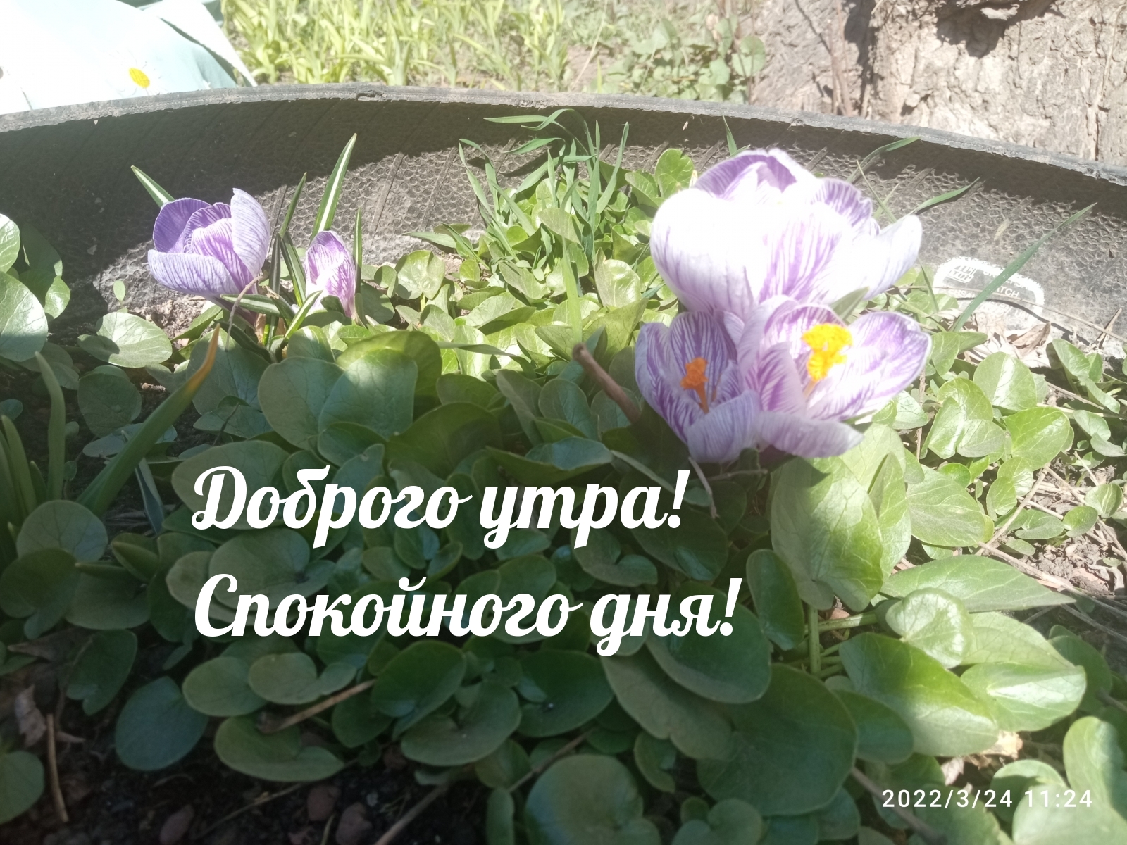 Доброго утра! Спокойного дня!