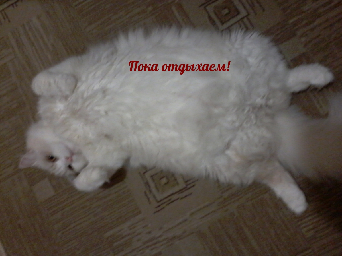 Пока отдыхаем!