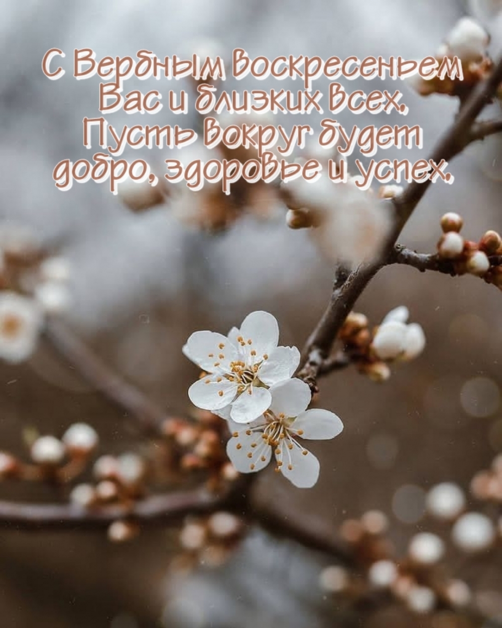 С Вербным воскресеньем Вас и близких. Пусть вокруг будет добро