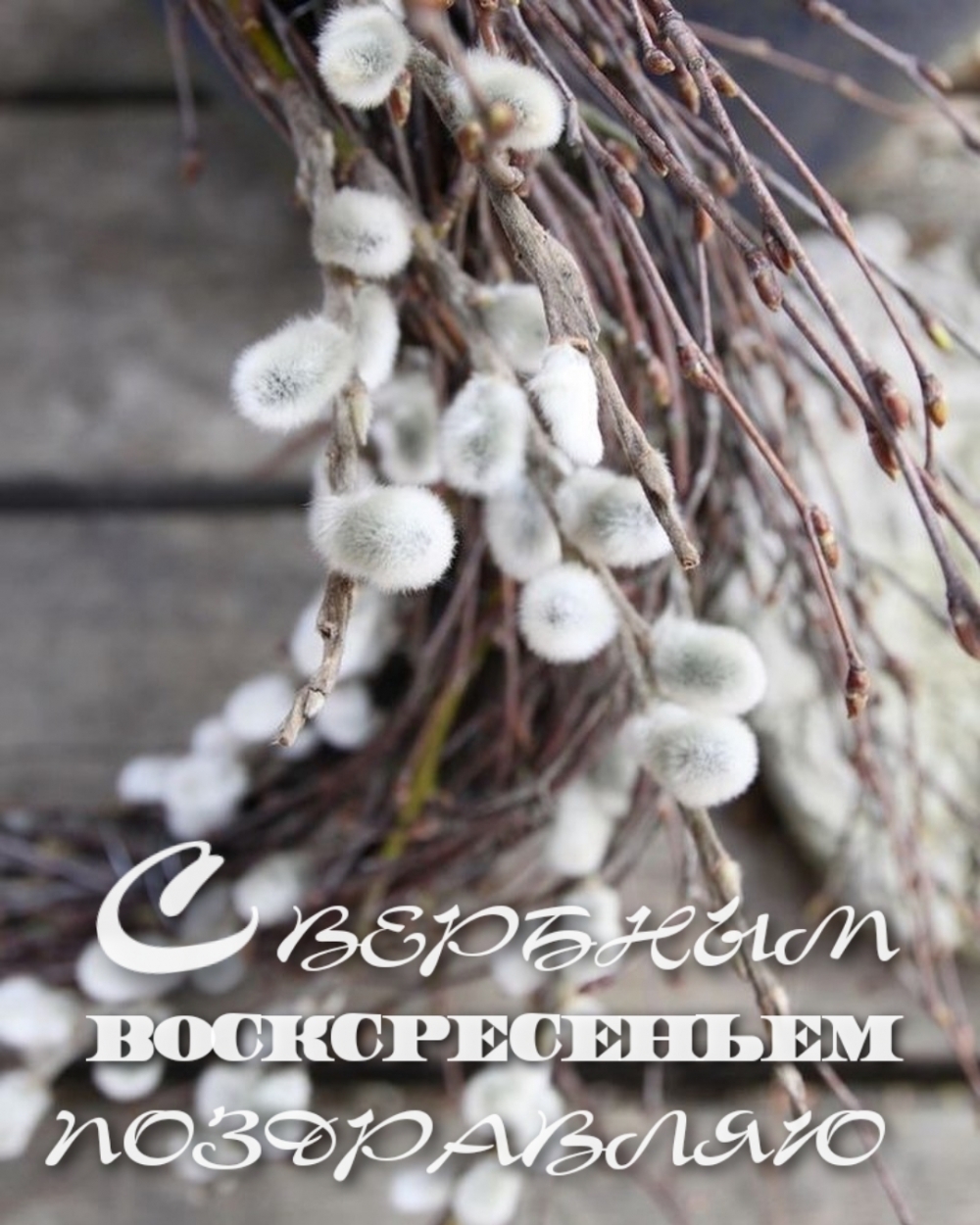 С вербным воскресеньем поздравляю