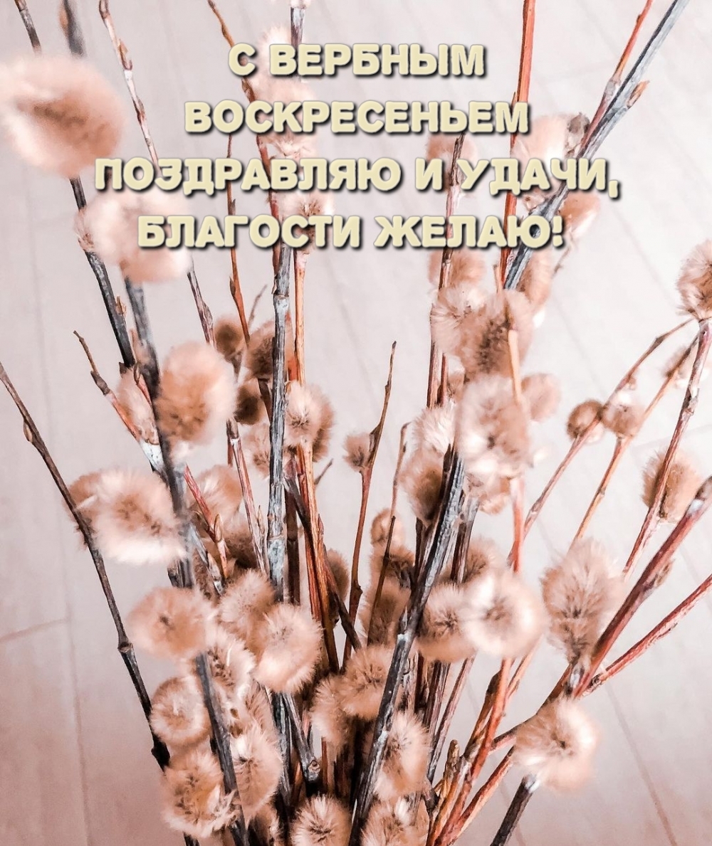 С Вербным воскресеньем поздравляю и удачи, благости желаю!