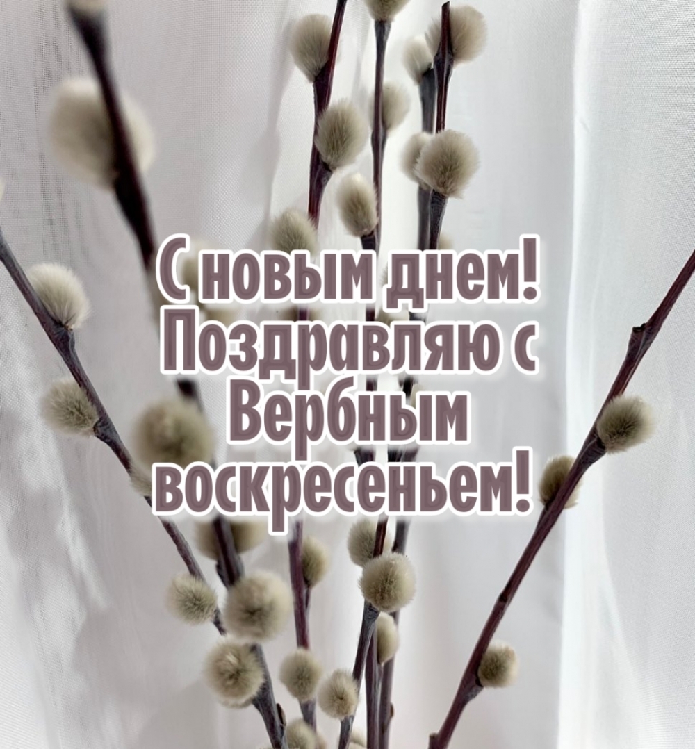С новым днем! Поздравляю с Вербным воскресеньем!