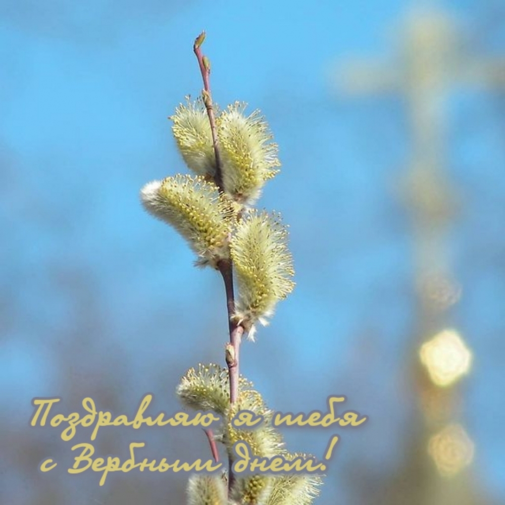 Поздравляю я тебя с Вербным днем!