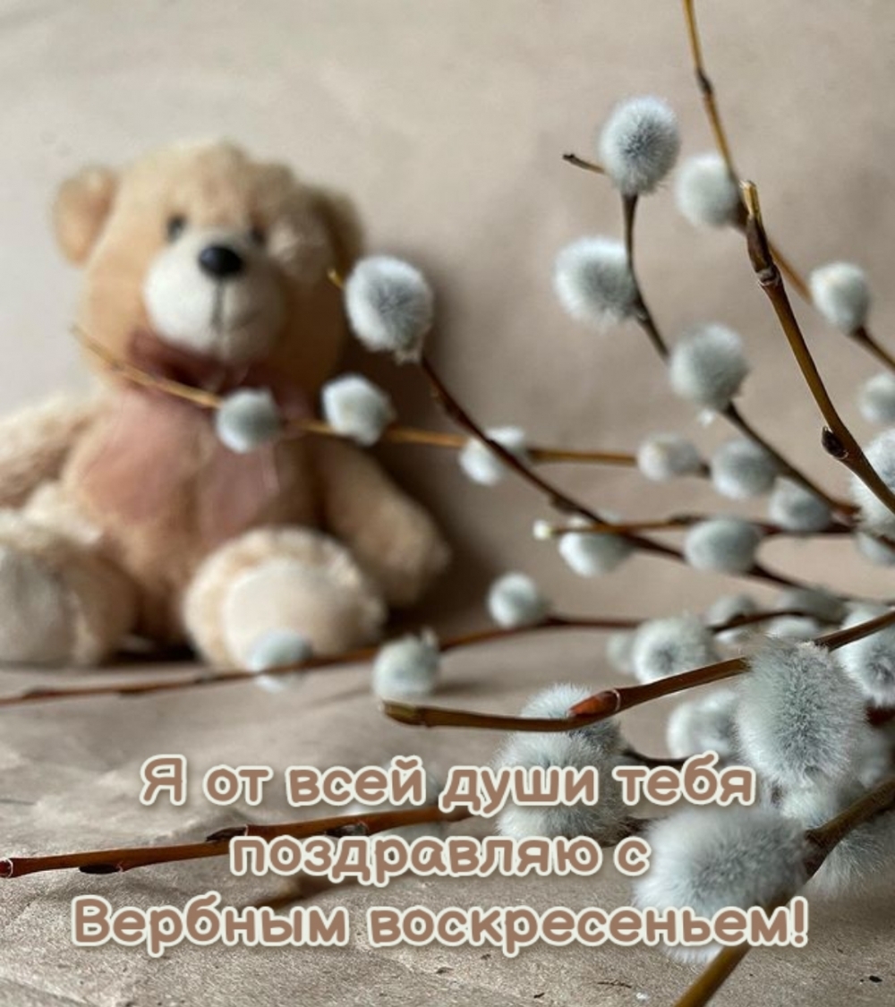 Я от всей души тебя поздравляю с Вербным воскресеньем!