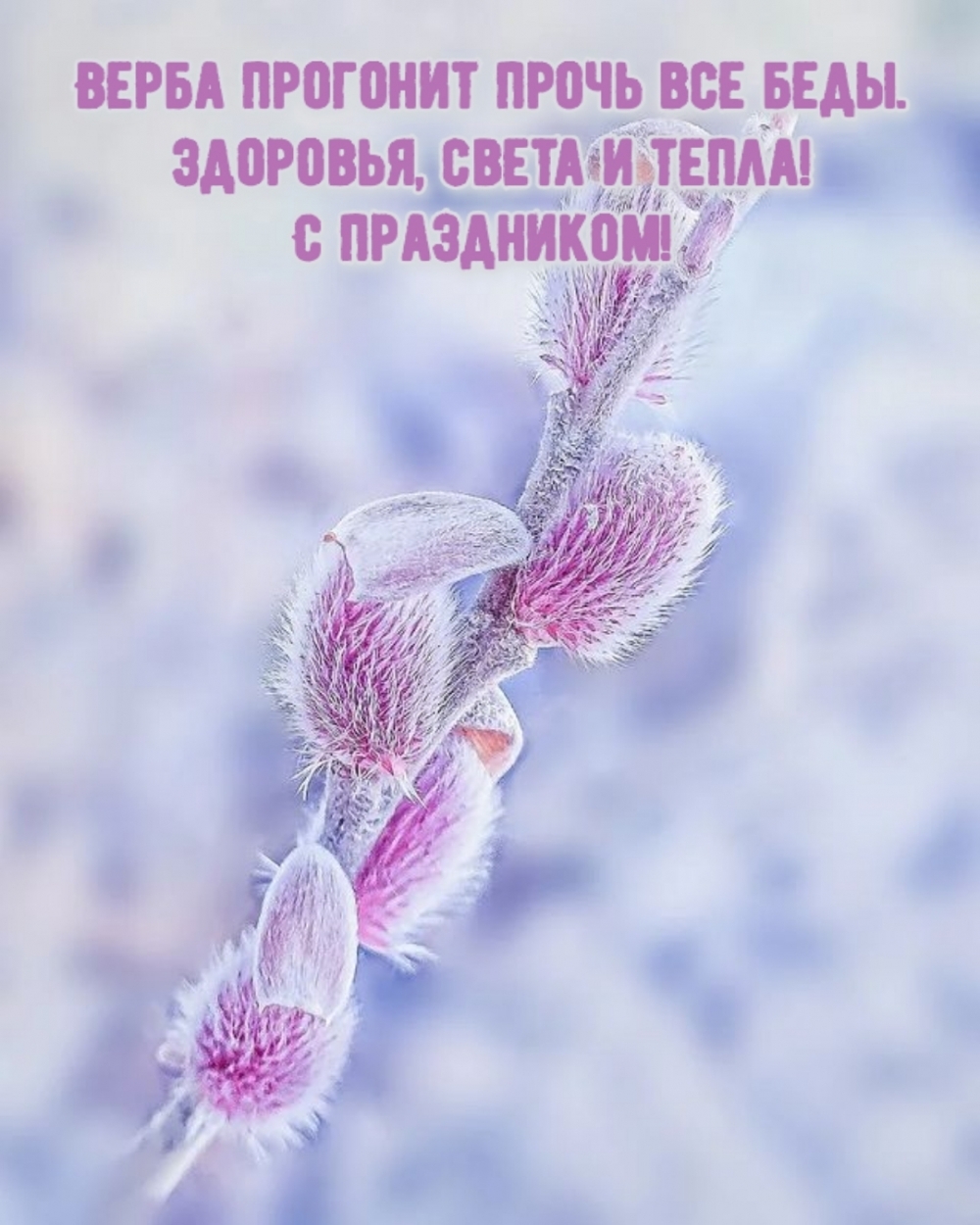 Здоровья, света и тепла! С праздником!