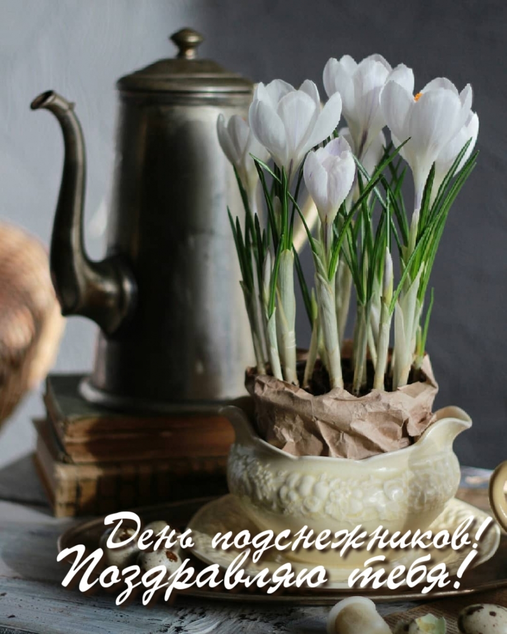 Картинки с надписями.  День подснежников! Поздравляю тебя!.