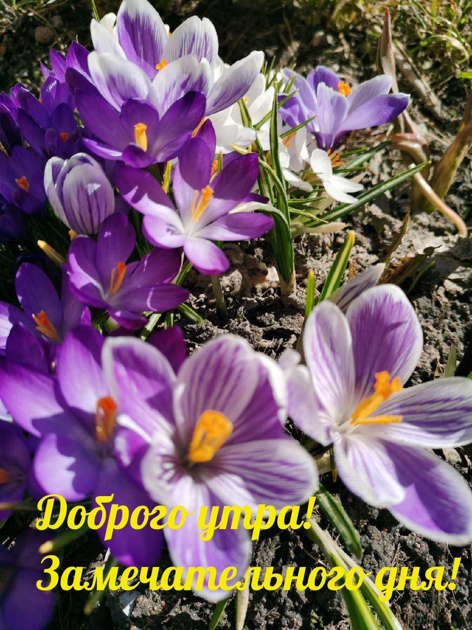 Доброго утра! Замечательного дня!