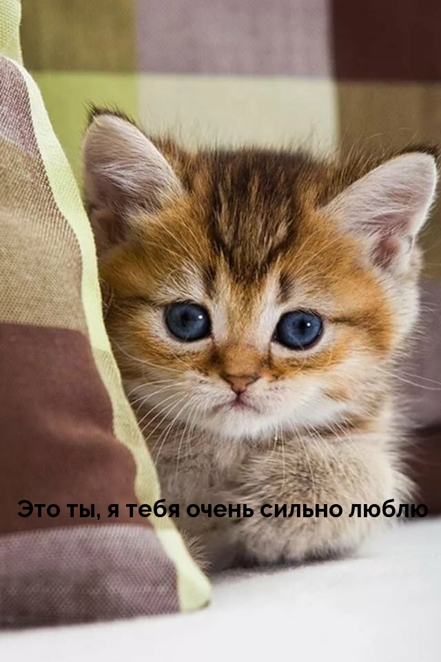Это ты, я тебя очень сильно люблю