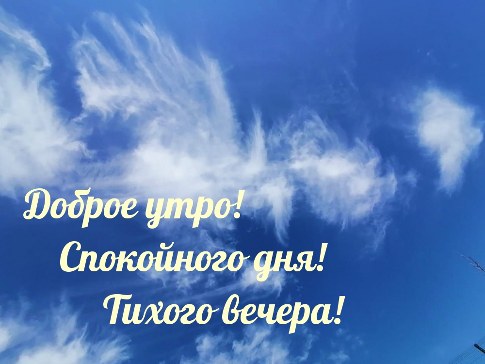 Доброе утро! Спокойного дня! Тихого вечера!