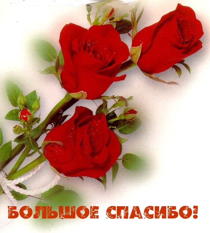 Большое спасибо!