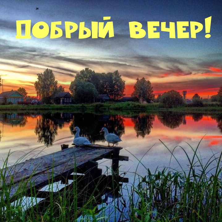 Добрый вечер!