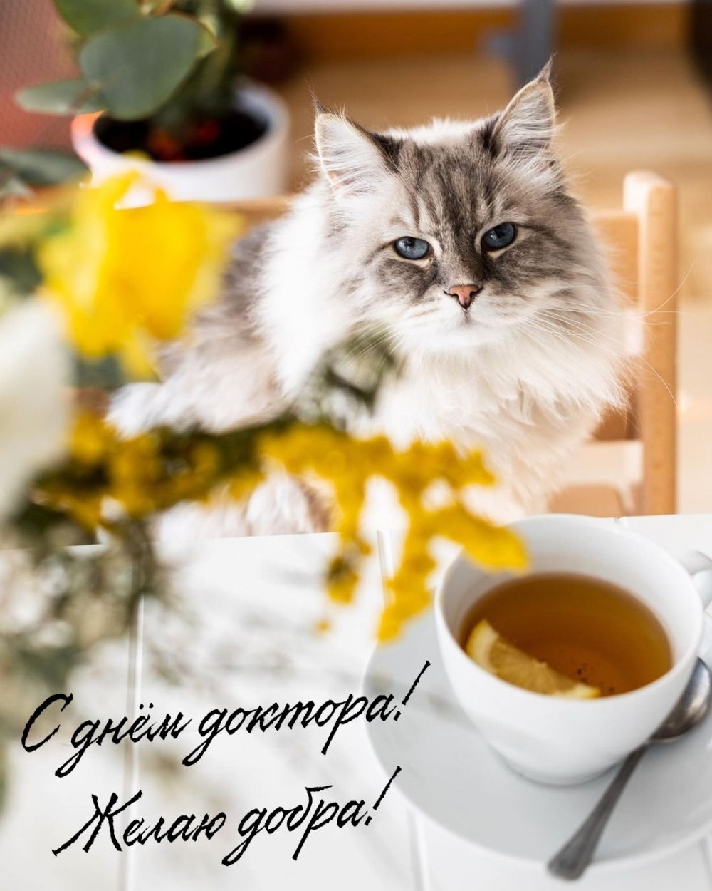С днём доктора! Желаю добра!
