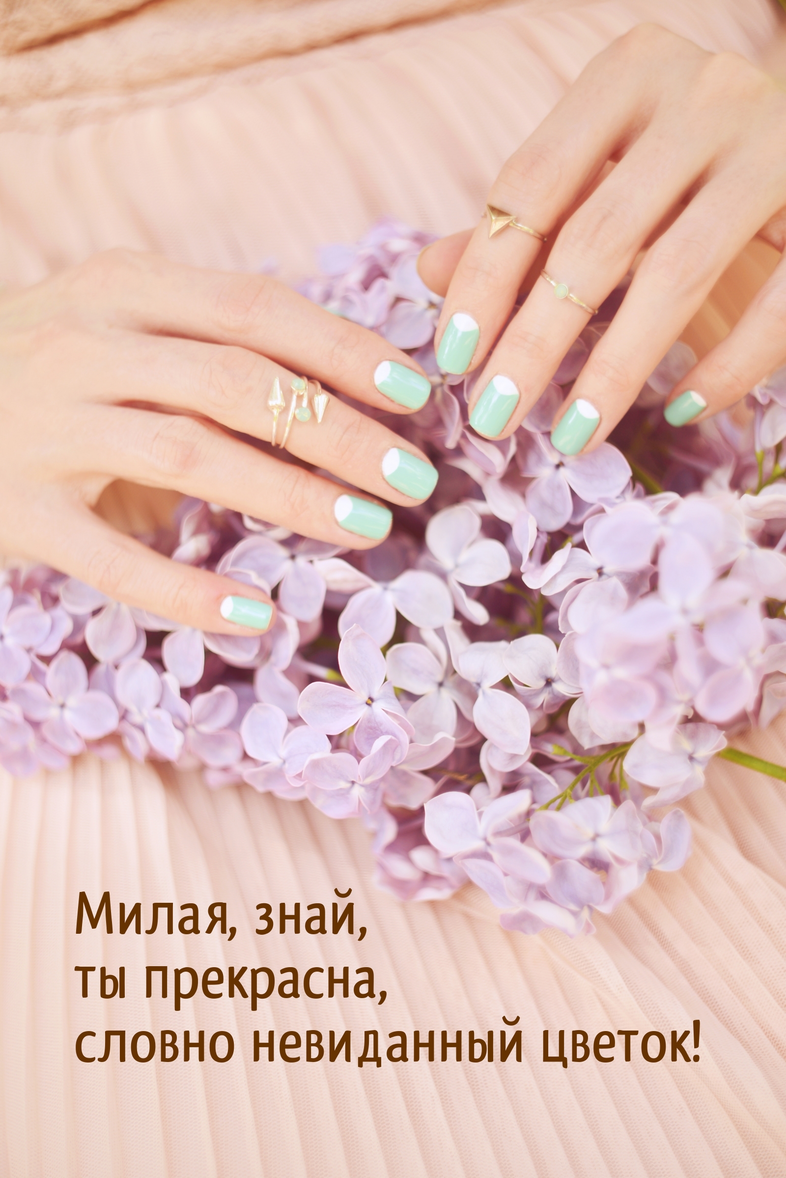 Милая, знай, ты прекрасна, словно невиданный цветок!