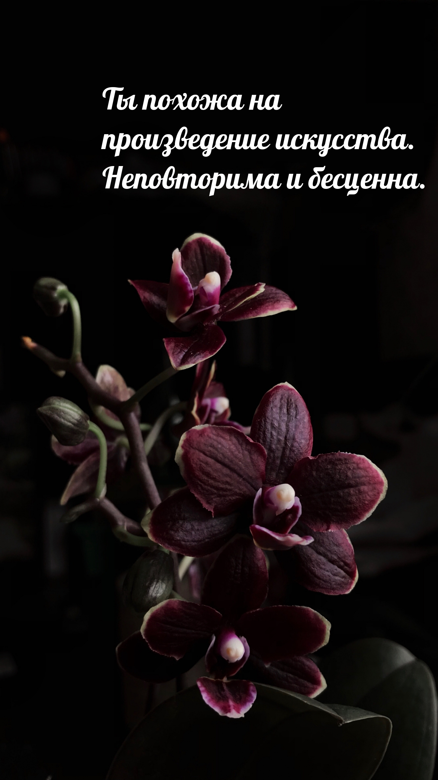 Ты похожа на произведение искусства. Неповторима и бесценна.
