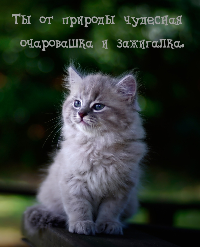 Ты от природы чудесная очаровашка и зажигалка.